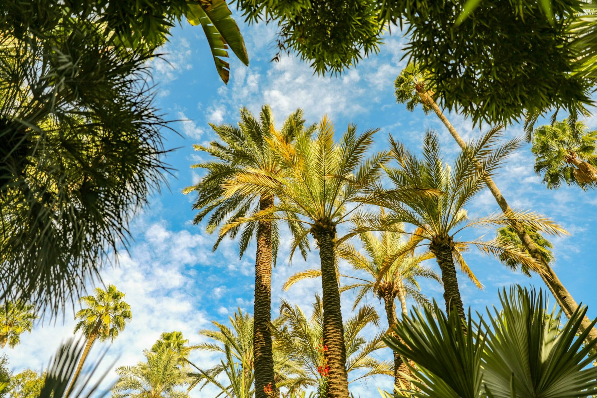 Surf Trek Sustainable Travel Morocco